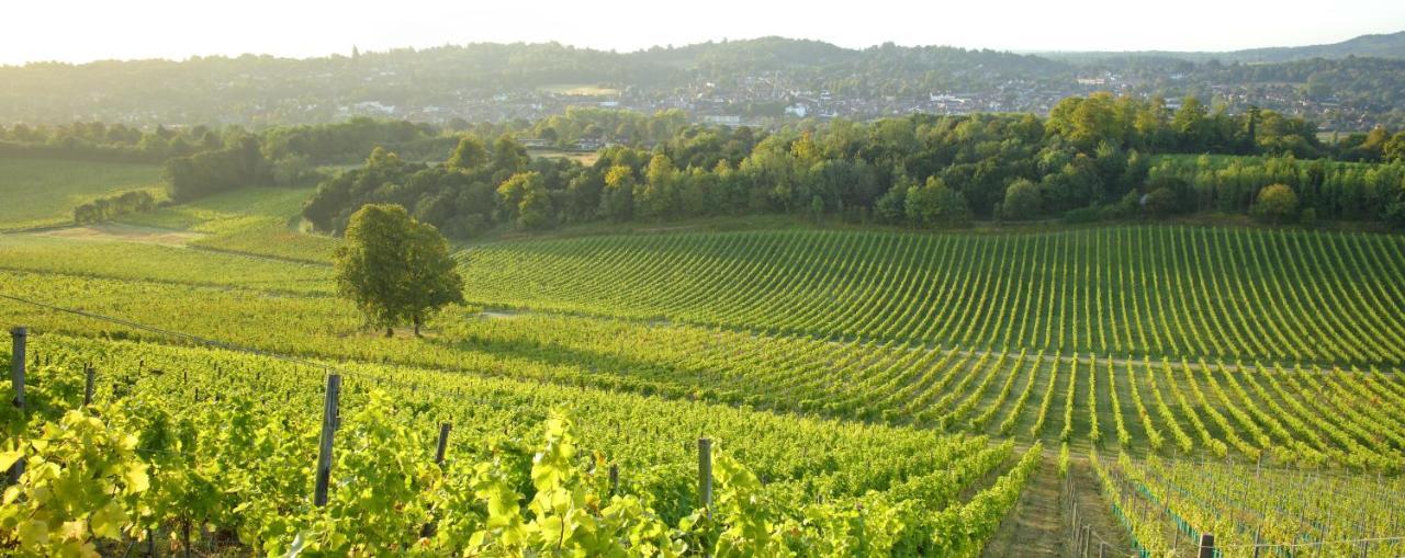 Denbies Vineyard Hotel Dorking Luaran gambar