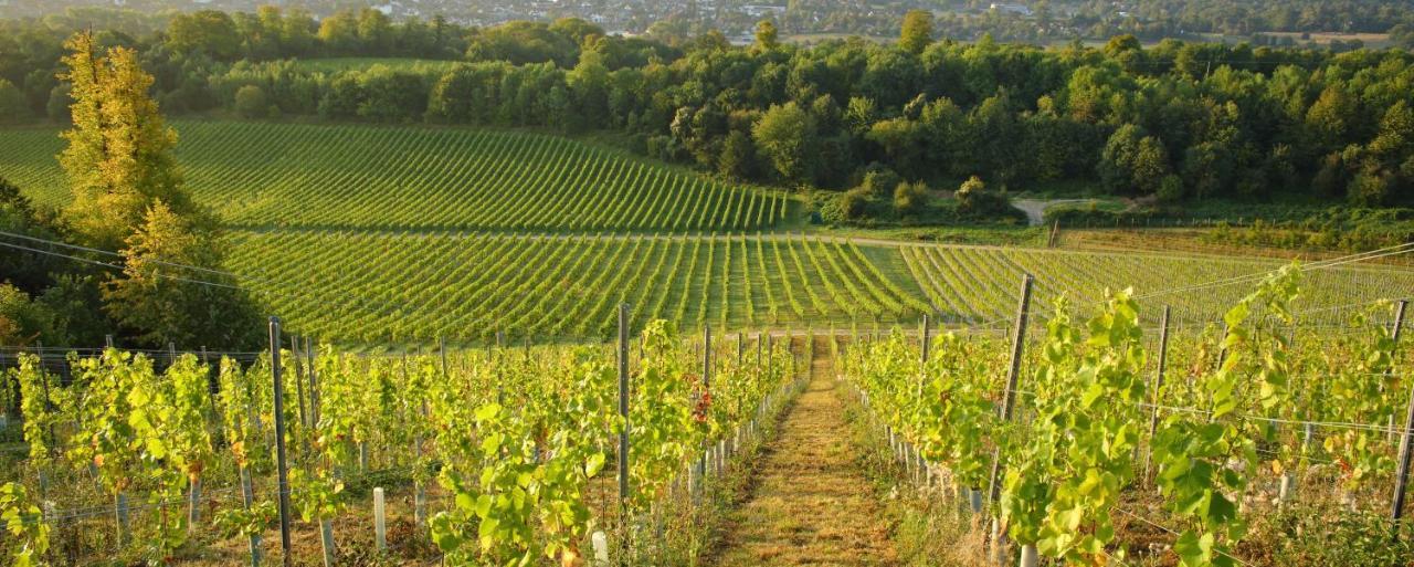 Denbies Vineyard Hotel Dorking Luaran gambar