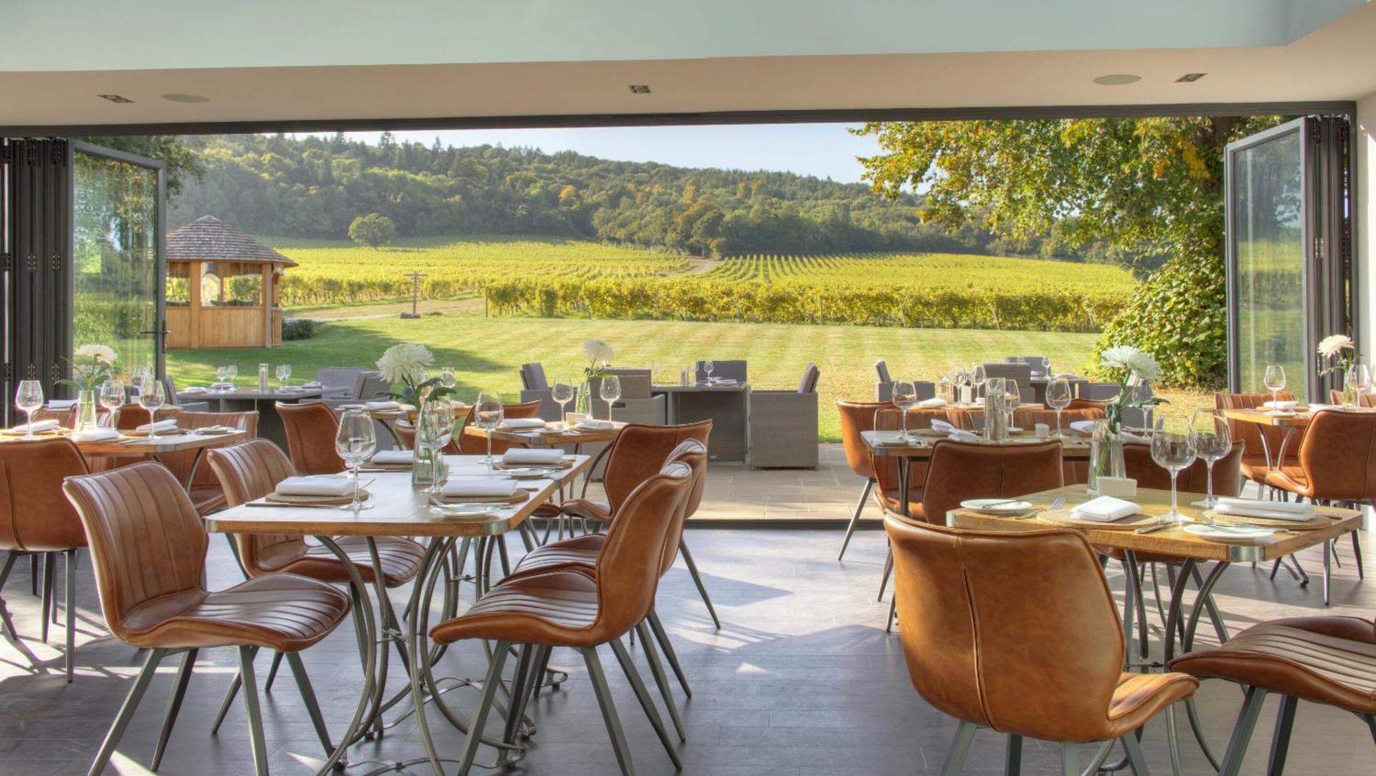 Denbies Vineyard Hotel Dorking Bilik gambar